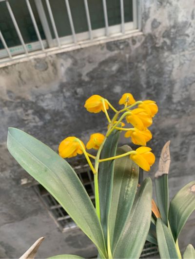 无家具安装维修无