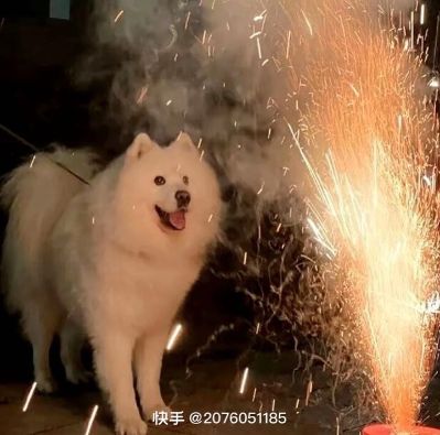 装修