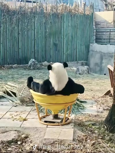 瓦工