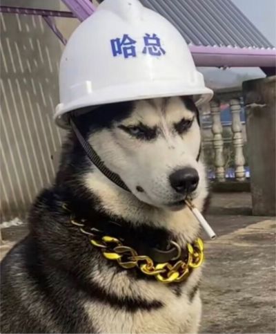 太标太阳能