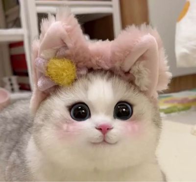 电工