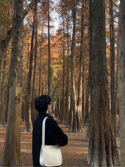 出口贸易