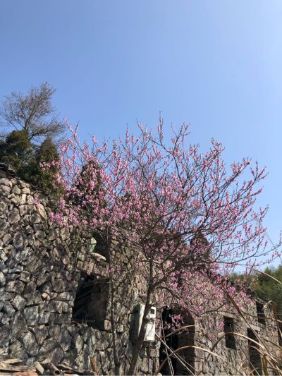 电工家电清洗