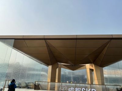 专业活动策划