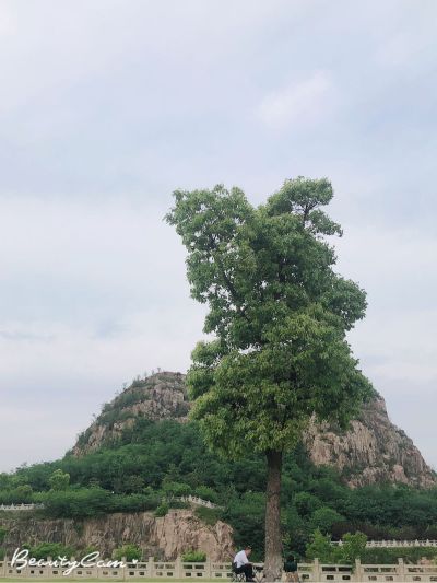 机电一体化家政服务