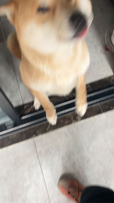 无