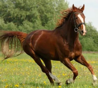 承接：家装，工装，店铺，写字楼，局部改造， 专业团队，联系电话17767273977