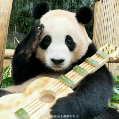 无