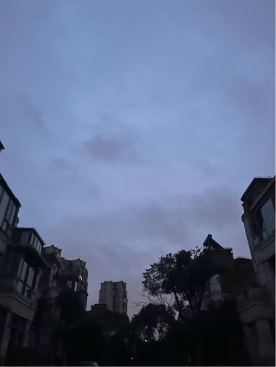 拆除拆旧搬运