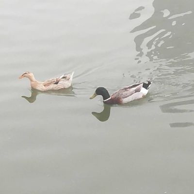 水电