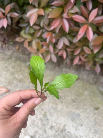 水电安装维修