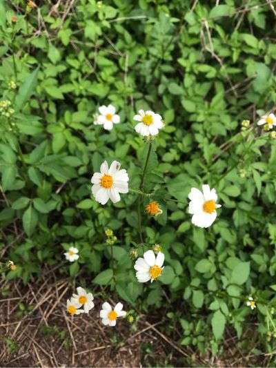 清洗安装家电清洗