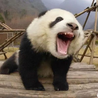 工程结构设计