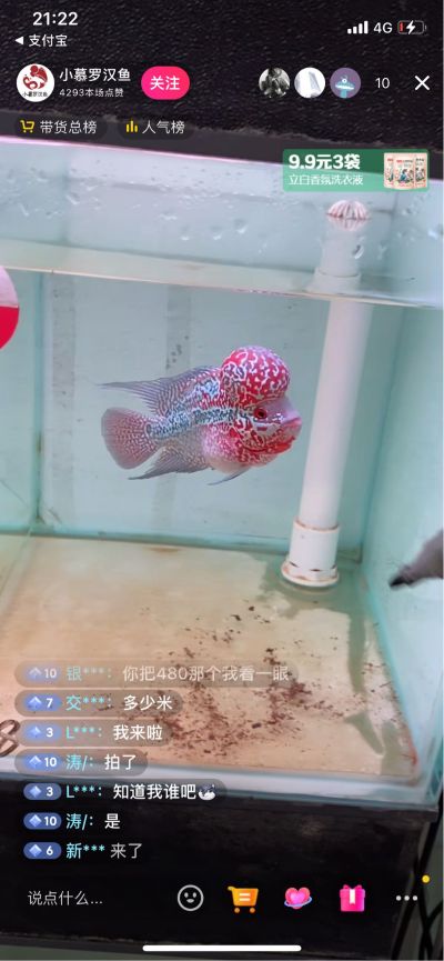 雨啊