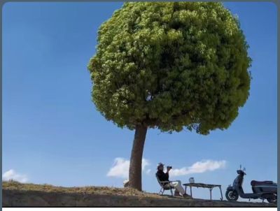 跑腿开车
