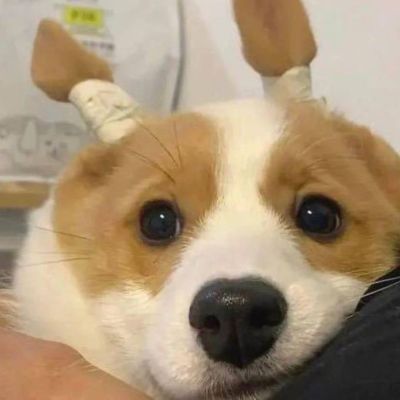 环境设计家装效果图