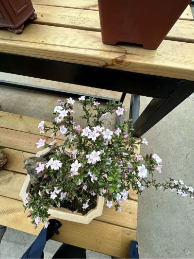 装卸搬运外包无