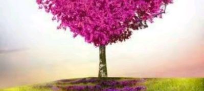 承包各种清洁工