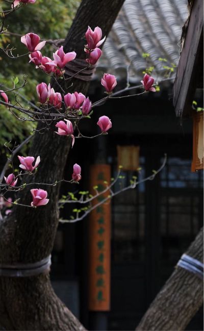 电气