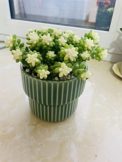衣柜橱柜吊柜