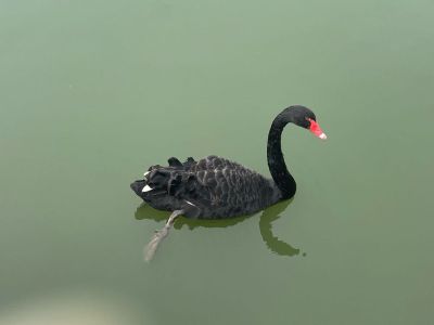 无