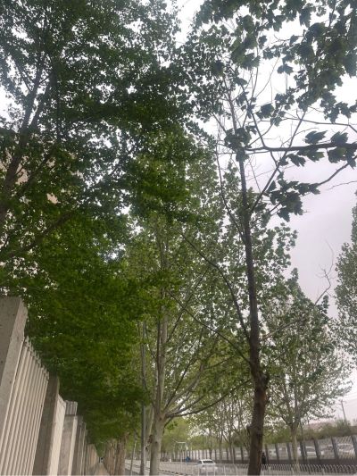 专业
