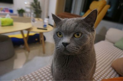 装修维修