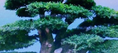 装卸装卸装卸装卸