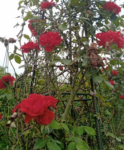 水电改造水电安装电路检修安装灯具插座