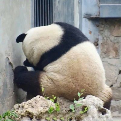 无