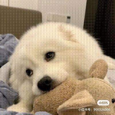维修