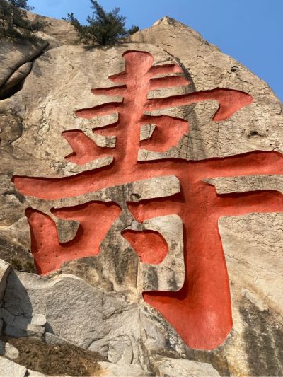需要厕所二次装修（砸掉旧瓷砖，修理之前漏水的管道，防水、贴新瓷砖）
还需要屋顶防水，铲旧墙皮，刮腻子