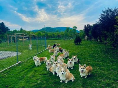 刚买的窗帘杆，两个卧室需要安装，安装很简单，对齐打孔就行