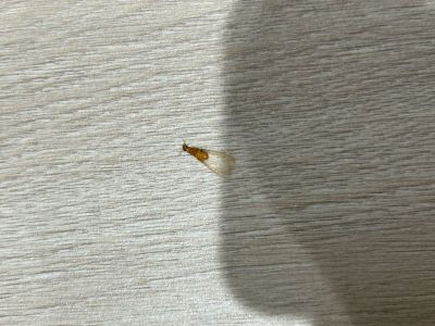 维修中央空调