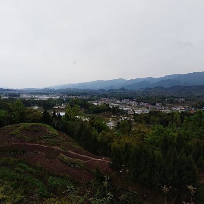 家政