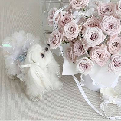 安装两个斗柜 一个餐桌