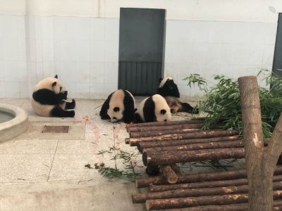 无
