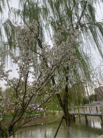 智能锁水龙头