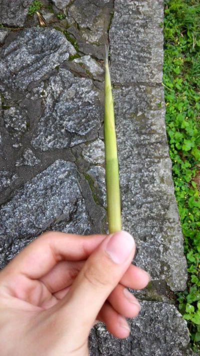 免布线式楼梯踏步灯➕流水线灯安装