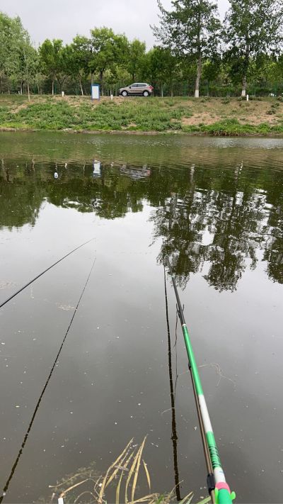 橱柜室内木门