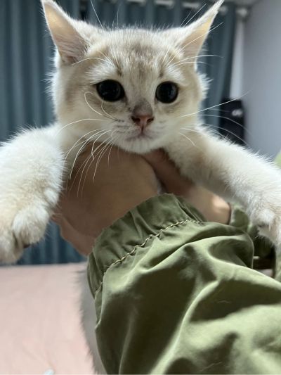 无