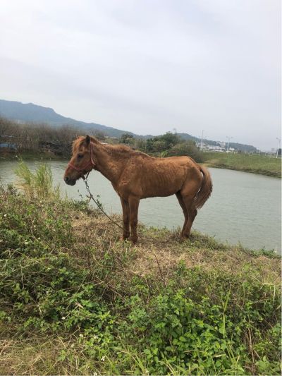 空调拆装