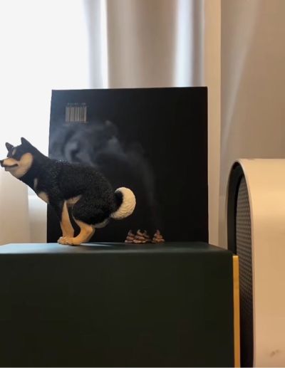 烘焙