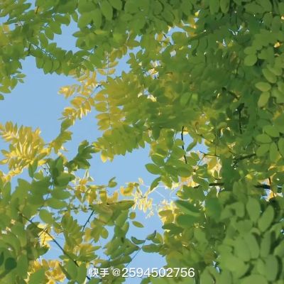雕刻干挂地铺