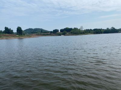 互联网企业路由器