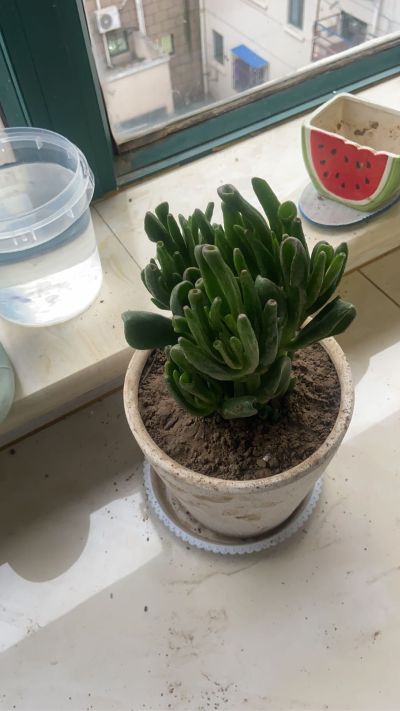 安装厨掉安装厨电