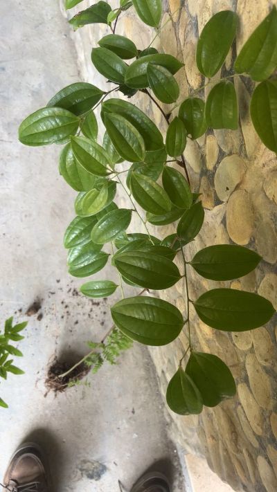 拆装维修水电家具安装水电家具安装