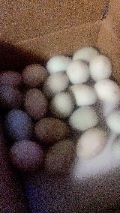 无