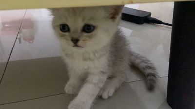 物业电工