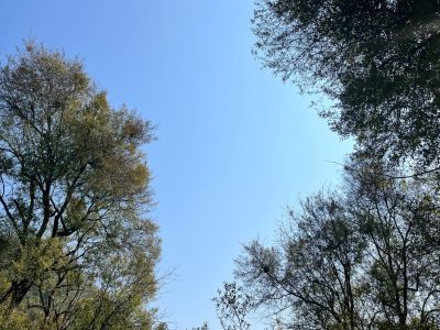 家居